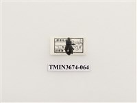 藏品(象鼻蟲(2))的圖片